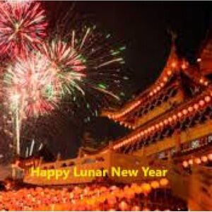 Festive Lunar New Year Celebration Poster